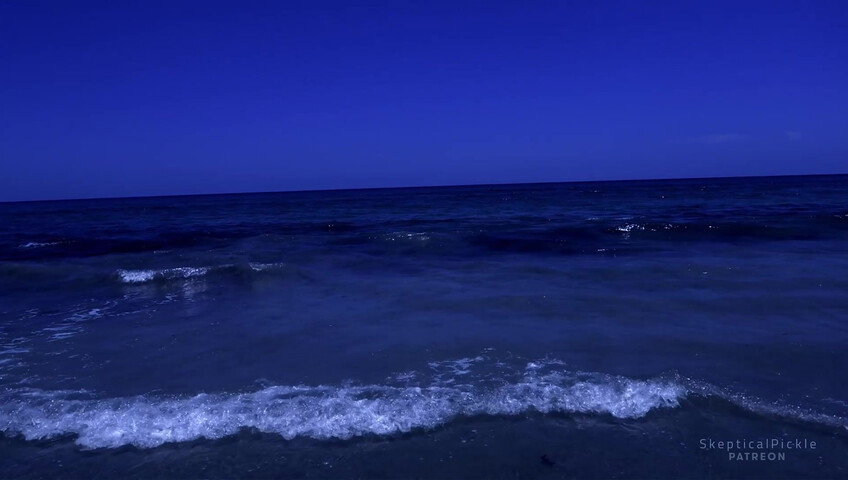 SkepticalPickle ASMR - 1 July 2026 - Super Relaxing Beach Video & Audio by Me | Golden Tier